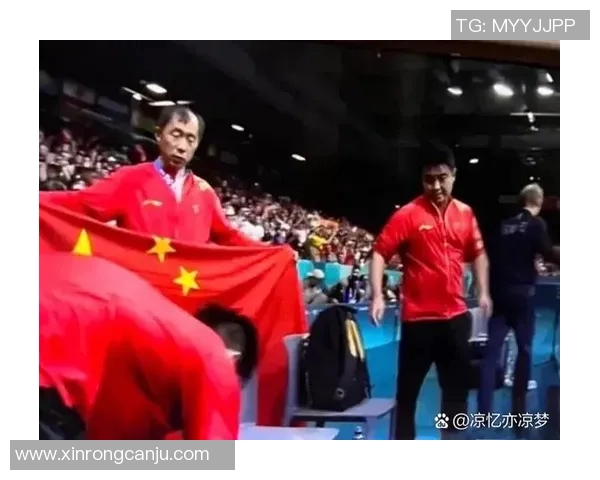 运动最新数据乒乓球的拼搏与荣耀成都乒乓球队奋斗历程全记录